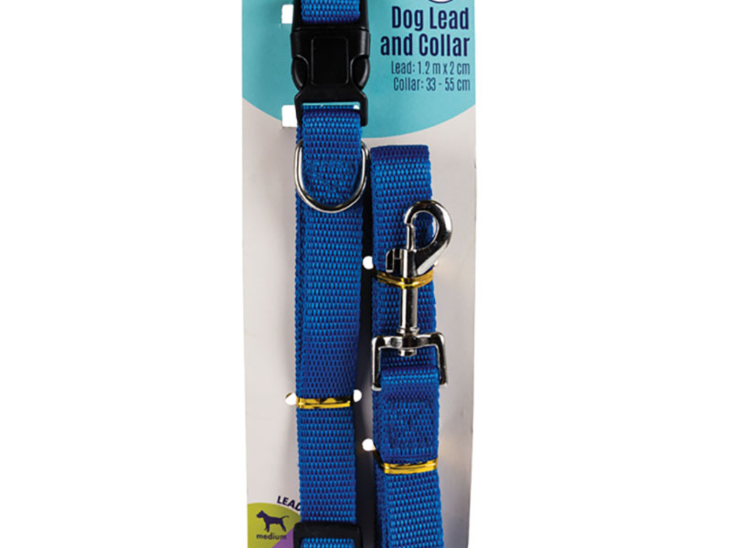 lemon dog collar and leash