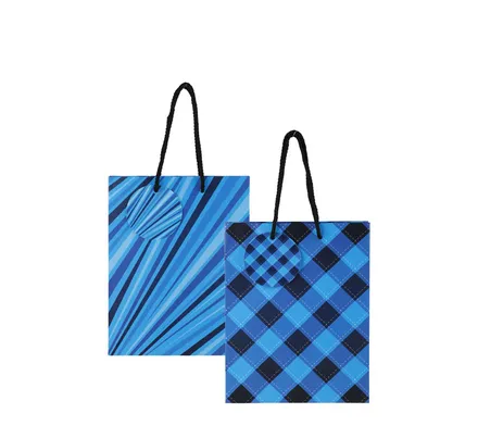 Medium Mans Patterned Gift Bag