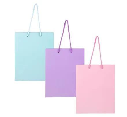 Large Pastel Colour Gift Bag