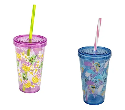 Tumbler With Straw 550ml