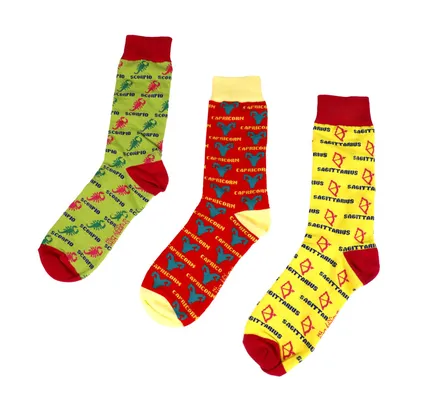 Colourful Zodiac Socks