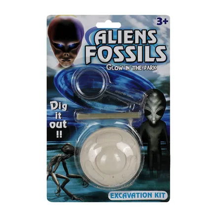 Insect Fossil Excavation Kit