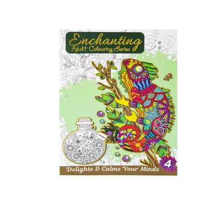 Enchanting Colouring Book 4