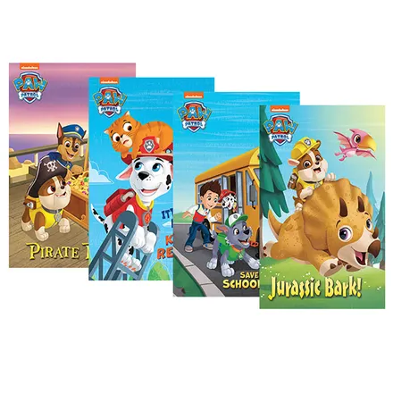 Paw Patrol Mini Reader